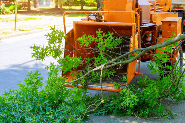 Best Pest Control for Lawns  in Atlanta, GA