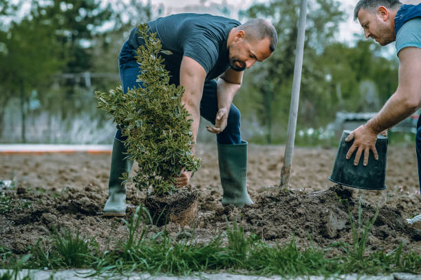  Atlanta, GA Tree Services Pros