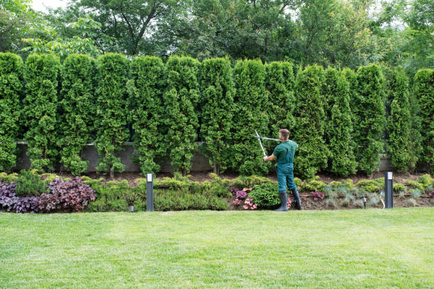 Best Storm Damage Tree Cleanup  in Atlanta, GA