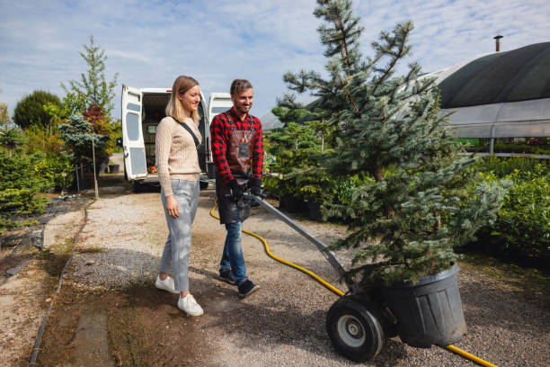 Best Arborist Consultation Services  in Atlanta, GA