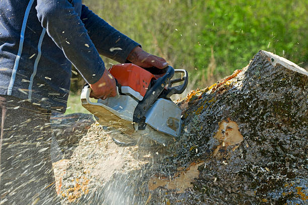 Best Lot and Land Clearing  in Atlanta, GA